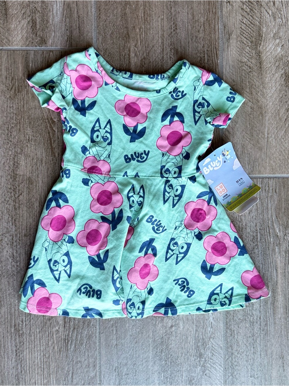 Bluey Girls' Mint Green Dress with Pink Flower Print and Bluey Character